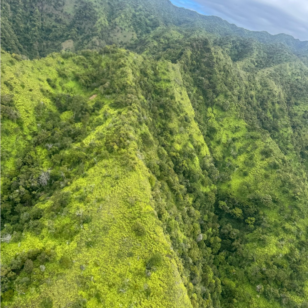 Box - Extra Shipping